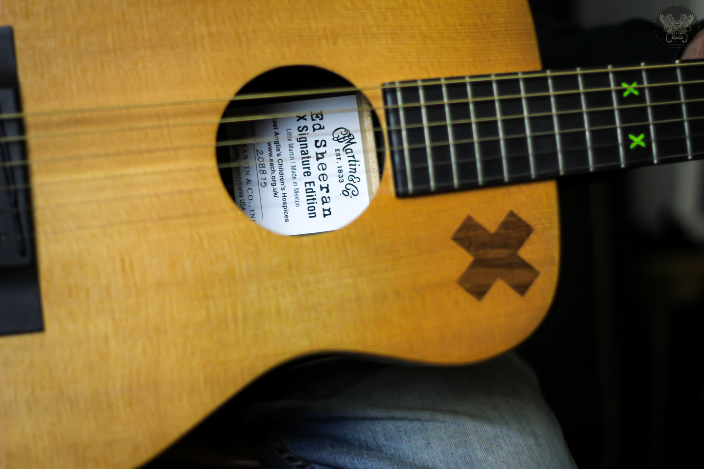 MARTIN & CO ED SHEERAN X SIGNATURE EDITION w MARTIN PADDED BAG MADE IN MEXICO (USED)