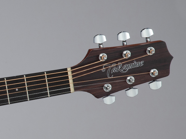 Takamine GD10-NS Acoustic Guitar