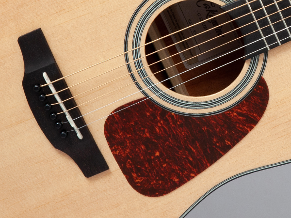 Takamine GD10-NS Acoustic Guitar