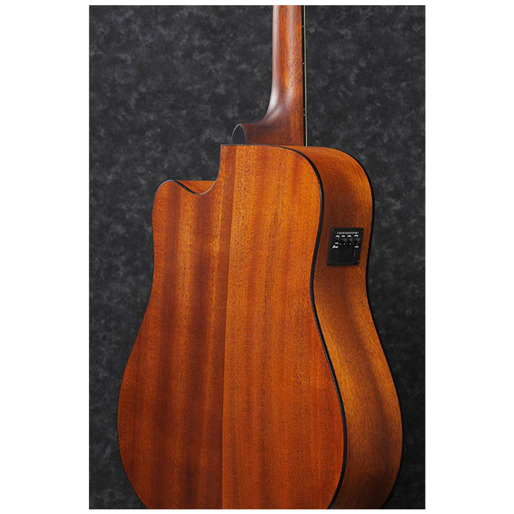 Ibanez PF10CE Standard, Open Pore Natural
