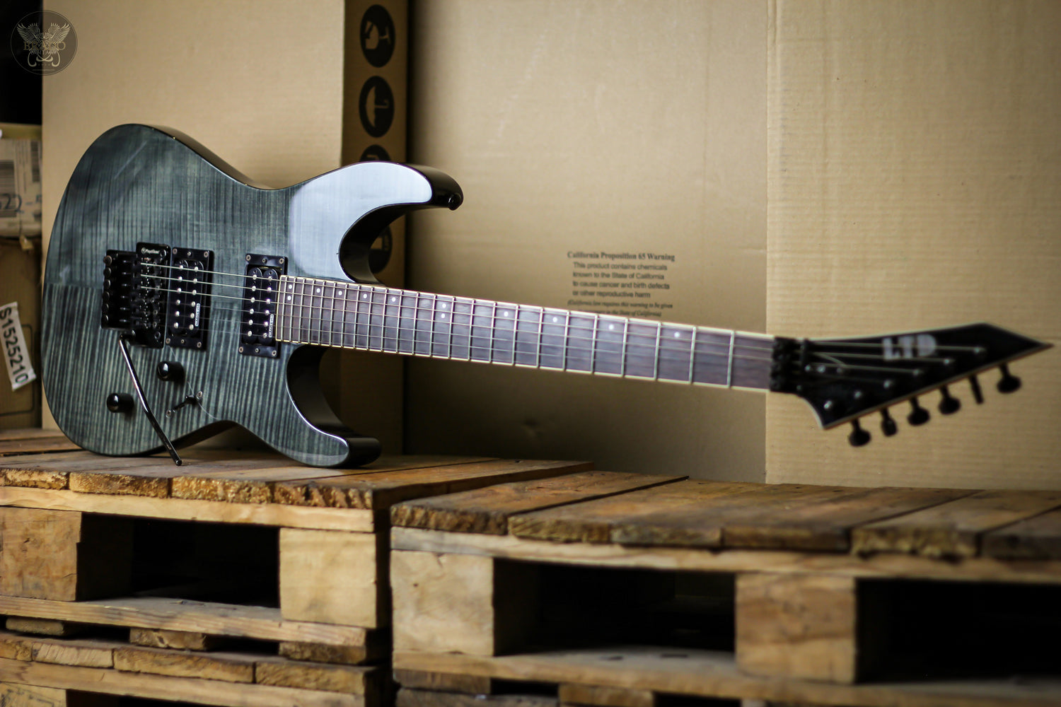 Staff Pick Monthly